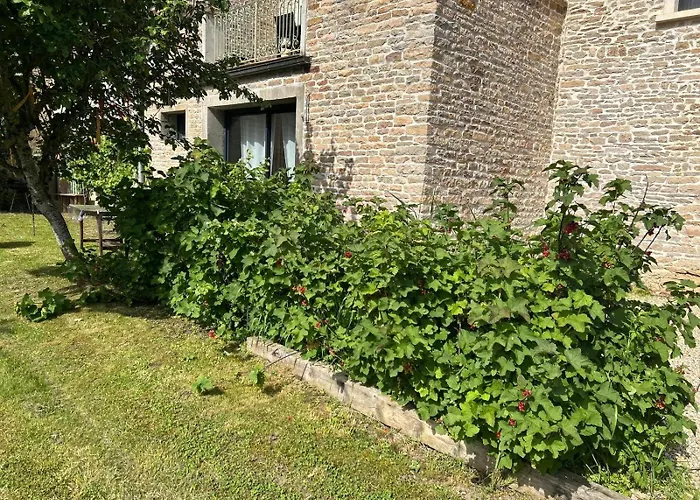 Appartement 3 Etoiles Tout Confort Et Spacieux En Campagne Bourguignonne